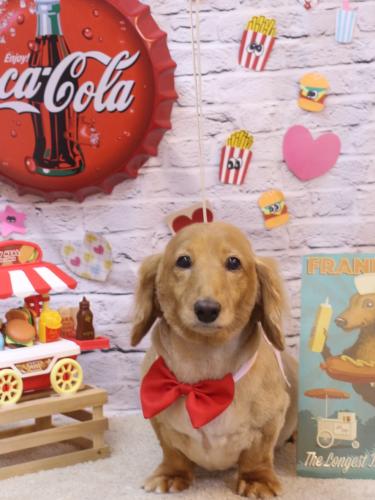 20230926レオンくん